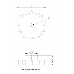 2pcs 3D Printed Plastic Spur Gear 22 Teeth, 60mm dia, 10mm Width, 6mm hole for DIY Projects